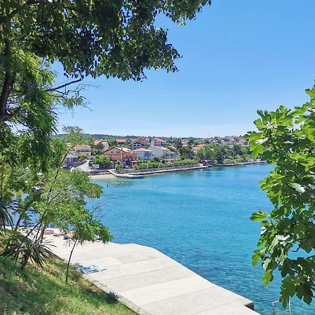 Radosna